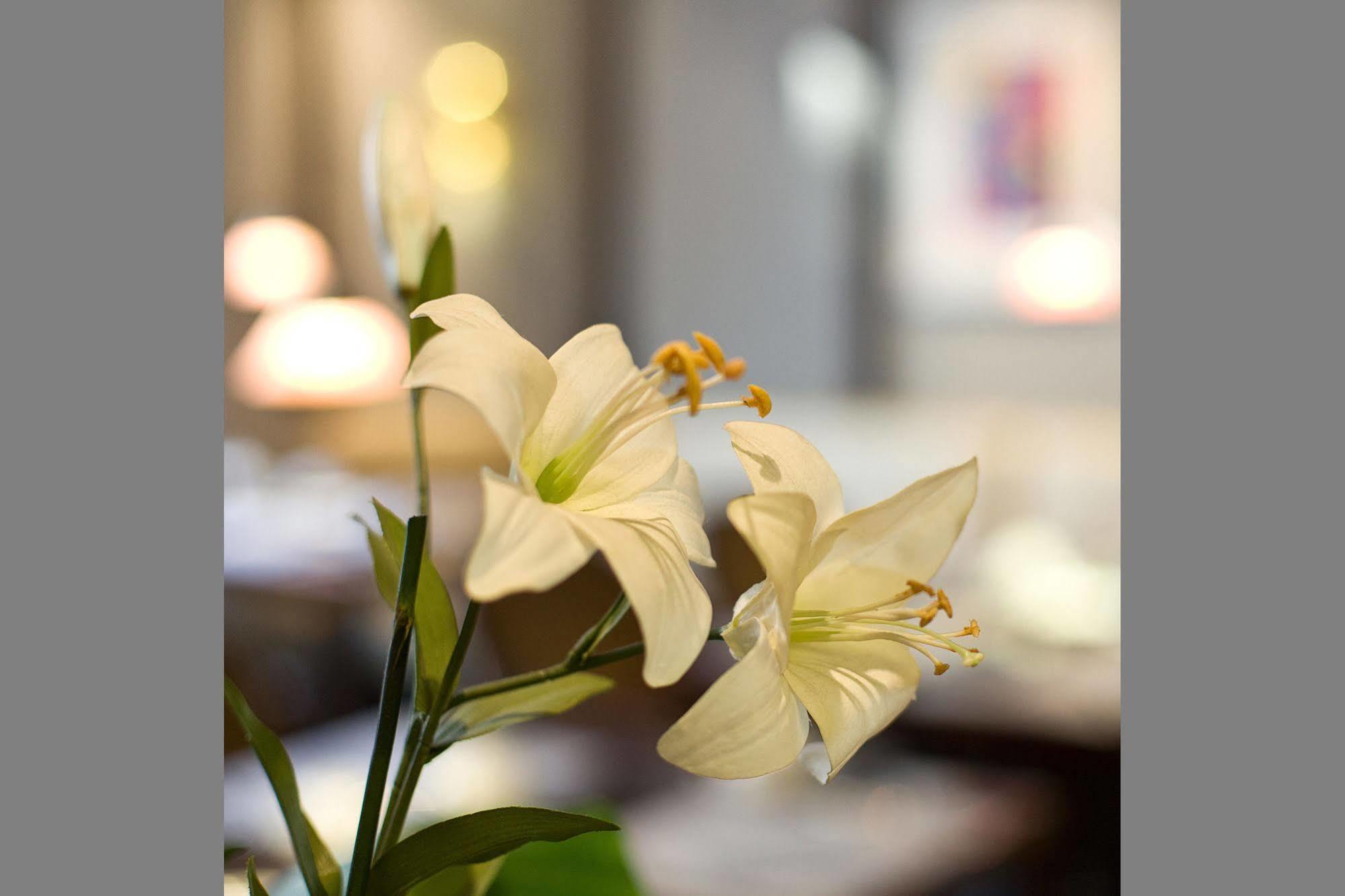 Gildors Hotel Atmosphere Dusseldorf Exterior photo